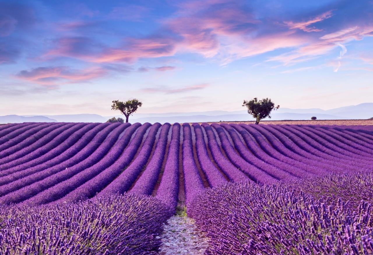 La Maison Des Collines Allemagne-en-Provence Dış mekan fotoğraf