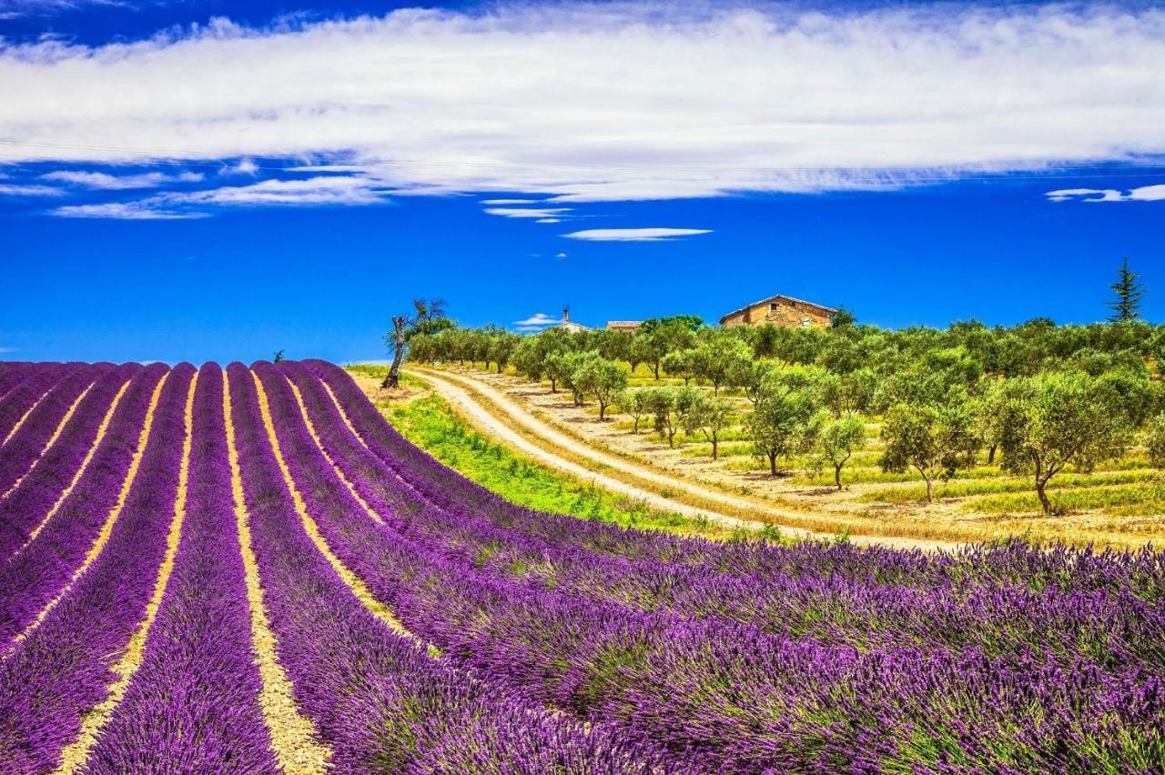 La Maison Des Collines Allemagne-en-Provence Dış mekan fotoğraf