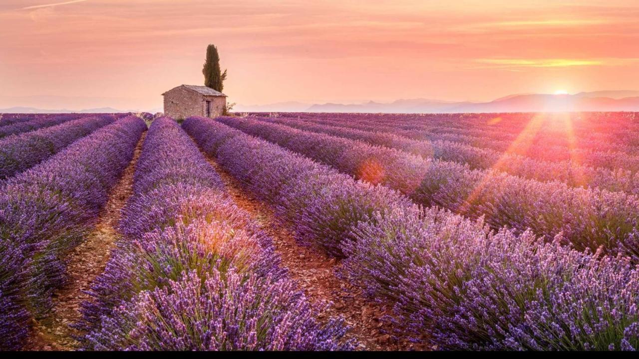 La Maison Des Collines Allemagne-en-Provence Dış mekan fotoğraf